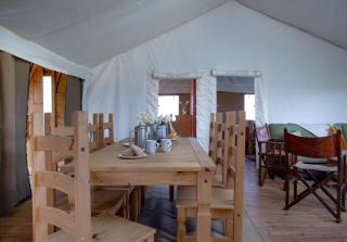 Cuckoo - Sweffling Hall - 5