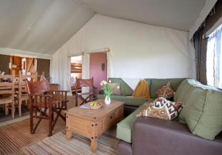 Linnet - Sweffling Hall - 2