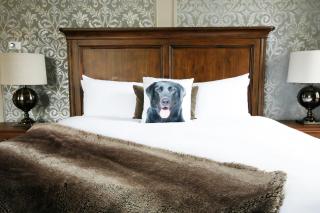 The Fort Garry Hotel, Spa and Conference Centre, an Ascend Collection Hotel - 6