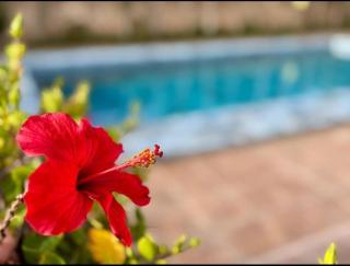 Sky & Sea View Apartment - 5