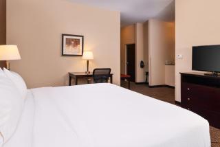 Holiday Inn Express & Suites Washington - Meadow Lands by IHG - Washington - 4