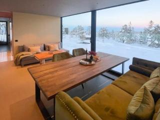 Modern Cabin At Blefjell - 2