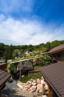 Complex Butoaiele Transilvaniei - Cazare & SPA - Natura - Relaxare - 1