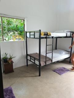 Pipa Roots Hostel - 5