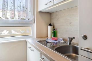 Ferienhaus Zauneidechse im Sternenpark - 4