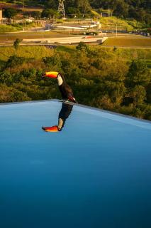 magnifica casa e vista surreal - 2