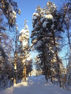 Taika Suite with Finnish Sauna, Glazed Balcony & Free Parking -Your base to Explore the Arctic and Santa's Magical Hometown Rovaniemi - 5