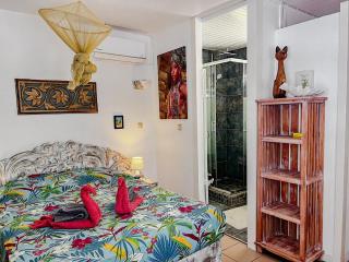 Ti colibri Bellevue Martinique - 6