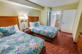 New 1 BR Ocean Front Views and Poolside Paradise - 3