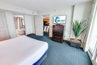 7th Floor! Modern Building, Direct Oceanfront View - Myrtle Beach - 2