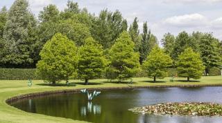 Chalet Inn de natuur van Drenthe, Inclusief Airco en Fietsen! - 5