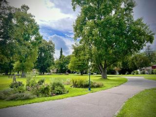 Kurhaus-Hotel Bad Salzhausen - 3