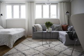 Unique and Bright Penthouse Studio in Ullanlinna - 6