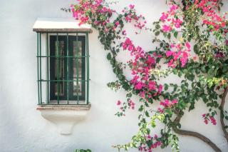 Villa 296 by Villamya - 6