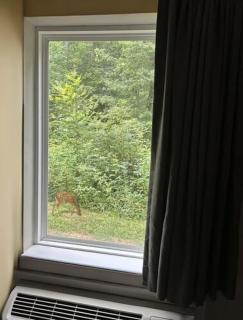 WoodSpring Suites Atlanta Airport - 6