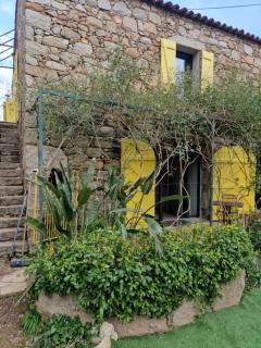 Le vieux moulin - 2