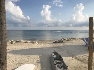 Vibrant Family Condo - Pool & Ocean Panorama #3 - Marathon - 1