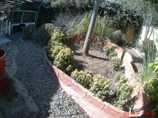 Casa algarrobo mirasol - 7