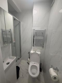 Easy access to central London - 6