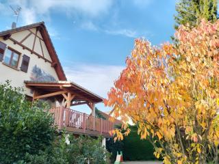 Chambres D'hôtes - Suite Pampas - 5