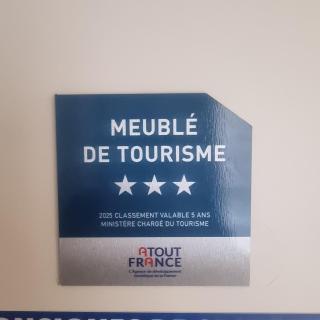 Lyon Confluence - duplex au calme avec parking privé en option - Lyon - 8