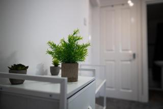 3 Bed 3 Bath En Suite Apartment Ideal Monthly Stay Near St Georges Hospital - 5