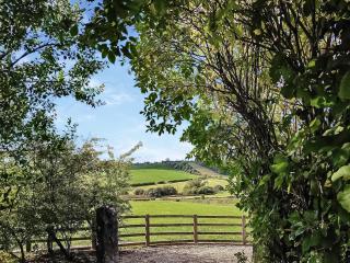Valley View Barn - 2