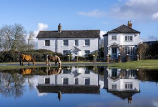 Hatchet Pond Cottage - 0