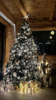 Vila Tea Durmitor - 9