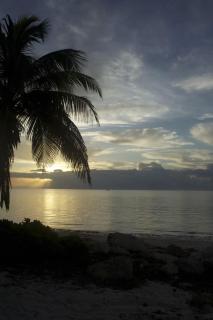 Oceanfront oasis with beach views & heated pool #34 - Marathon - 2