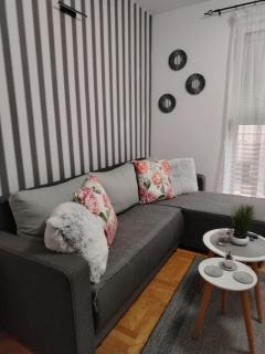 Apartman Harmonija Vrnjačka Banja - 6