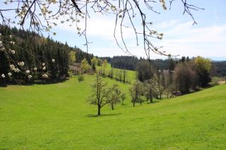 Western Style Planenwagen - 8