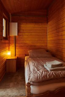 Ruhiges, gemütliches Gästehaus & Terrasse in Berlin-Süden - 4