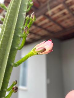 Casa aconchegante em Aracaju na Aruana - 8