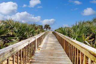 Palm-surrounded stunner with enclosed pool & water views - dog-friendly - 9