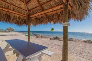 Relaxing Garden Condo Oasis, Heated Pool & Ocean #18 - Marathon - 8