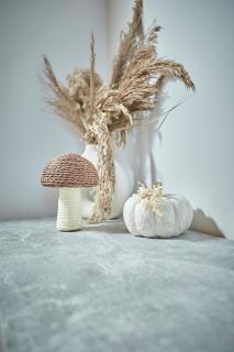 Haus Schönblick Ferienwohnung am Skilift - 5