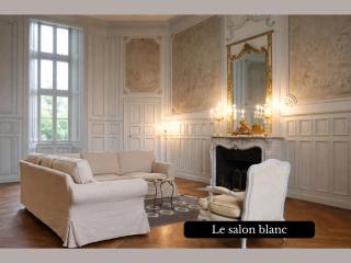 Your Private Castle - 1000 m2 - 5 suites - 40 hectares - 1