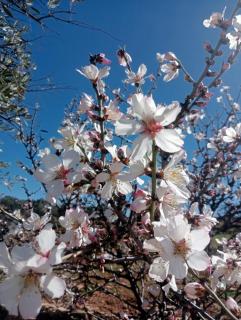 Mineral Spirit Guest House -  - 0