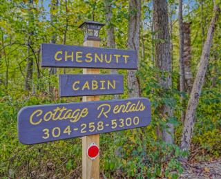 Chesnutt Cabin - Riverfront, Fire Pit, Game Room, Wifi, Screen Porch, View, King Bed - 6