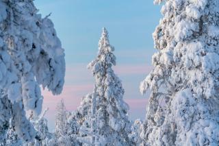 Holiday in Lapland - Ylläs Sivulantie 4 206 - 3