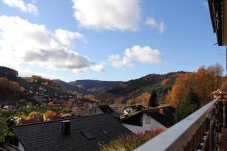 Ferienwohnung Kuckuckslockennest - 5