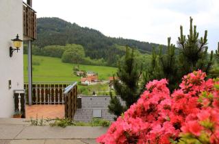 Ferienwohnung Kuckuckslockennest - 2