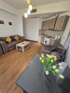 Deluxe apartment in The city center 2 rooms - Erevan - 9