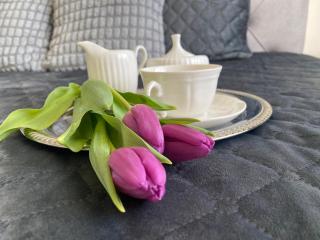 Compass apartment - 5