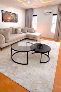Beautiful 1 Bedroom Apartment in Lekki - 0