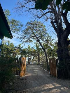 Beach Front Bahia - 7