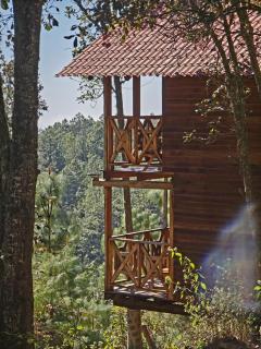 Cabaña en el Bosque de San José del Pacífico 3 - 7