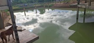 Bhagya Resort Limited - 1