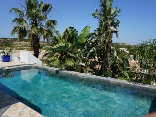 Acogedor estudio con terraza y piscina privada en Rafol d'Almunia - ES-373-65 - 9